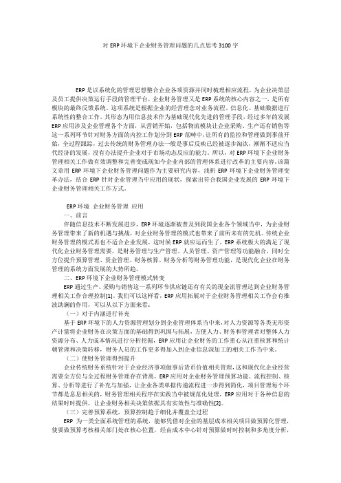 对ERP环境下企业财务管理问题的几点思考3100字