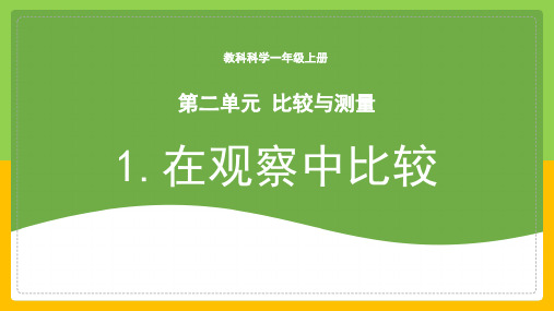 教科版 科学一年级上册在观察中比较 课件