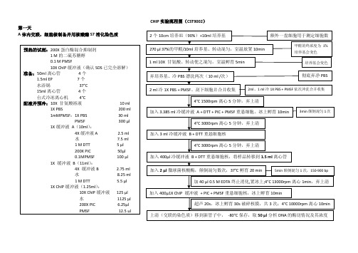 CHIP实验流程图