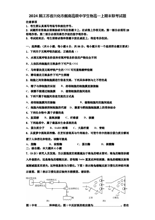 2024届江苏省兴化市戴南高级中学生物高一上期末联考试题含解析