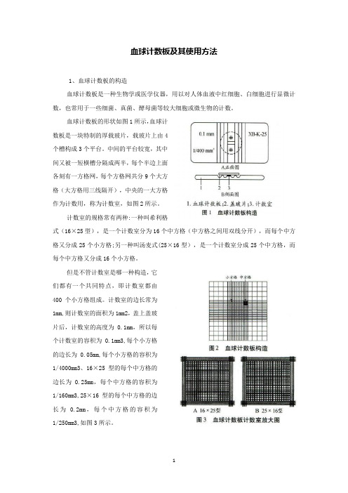 血球计数板及其使用方法