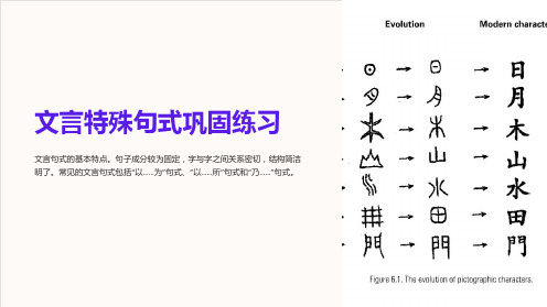 文言特殊句式巩固练习