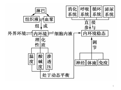 高中生物必修3知识结构ppt课件