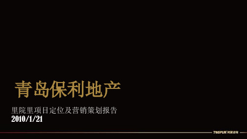 房地产里院里项目定位及营销策划报告经典营销策划方案报告案例