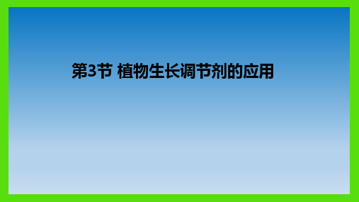 植物生长调节剂的应用课件高二上学期生物人教版选择性必修1