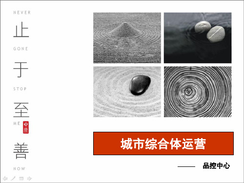 【广告策划-PPT】城市综合体研究_中原41ppt PPT资料共62页