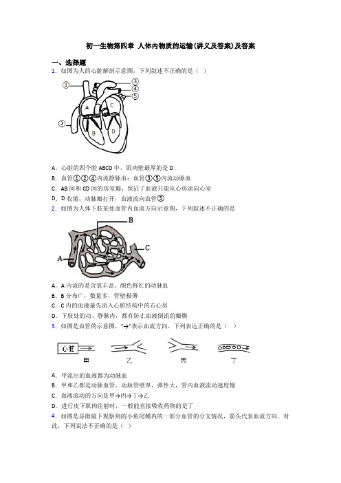 初一生物第四章 人体内物质的运输(讲义及答案)及答案