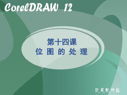 第十四课  coreldraw点阵图的应用