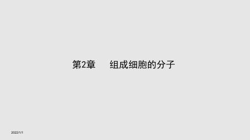 生物高考一轮复习必修细胞中的糖类和脂质学习PPT教案