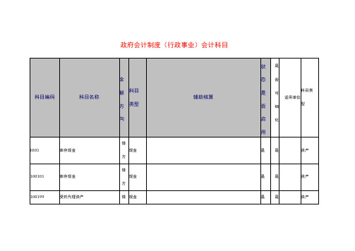 政府会计制度科目明细表