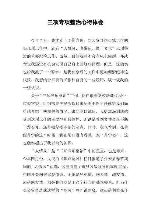 三项专项整治心得体会
