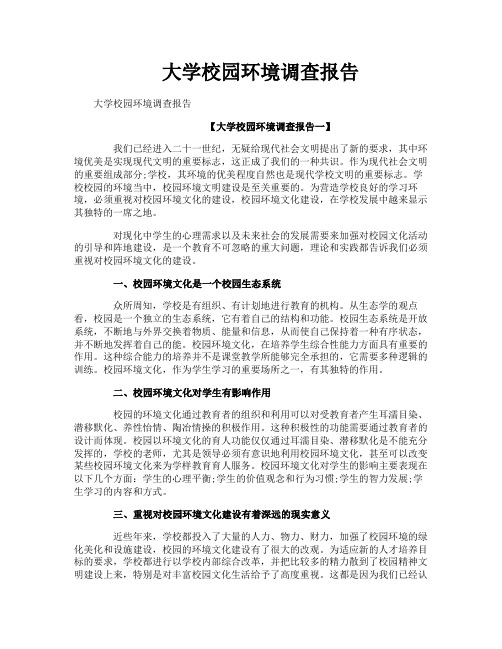 大学校园环境调查报告