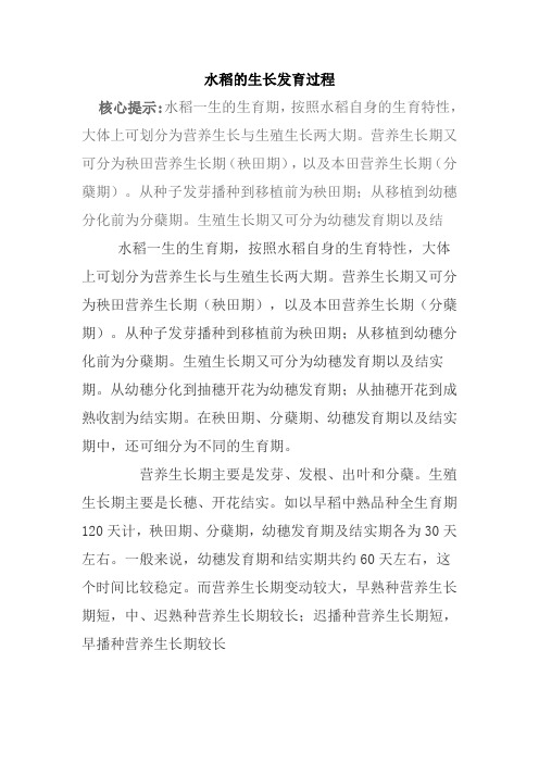 水稻的生长发育过程