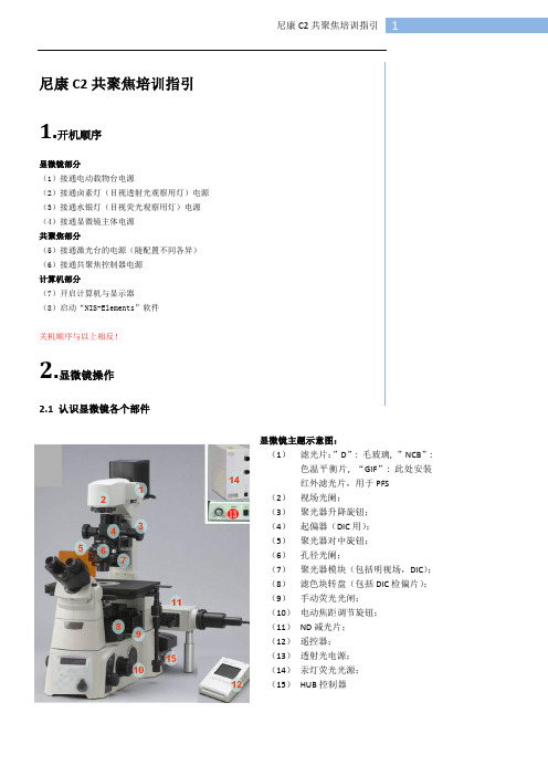 尼康C2共聚焦培训指引