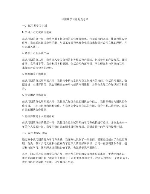 试用期学习计划及总结