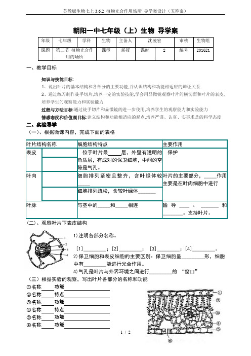 苏教版生物七上3.6.2 植物光合作用场所 导学案设计(五答案)