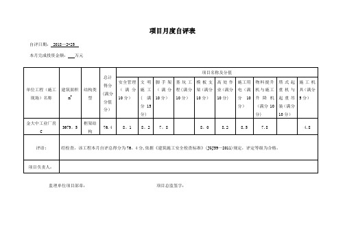 广东省安全标准评比系统项目月度自评表