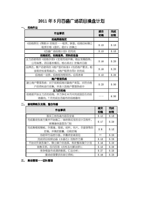 百盛项目操盘计划