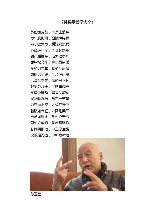 《孙禄堂武学大全》