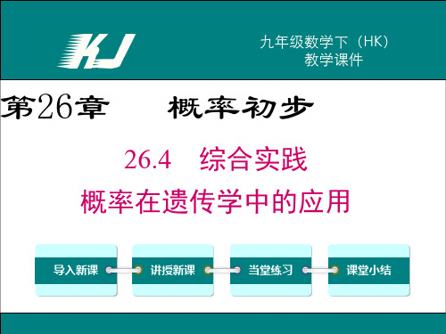 最新沪科版九年级数学下册 26.4 综合与实践 概率在遗传学中的应用