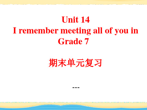 人教新目标版英语九年级Unit 14《I remember meeting all of you i