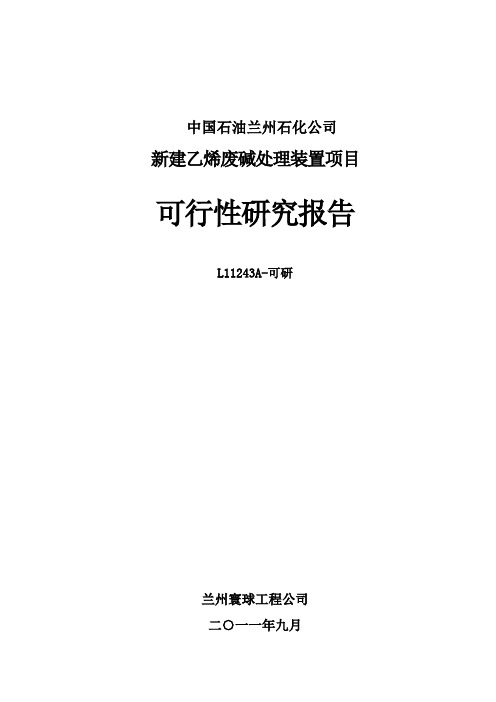 乙烯废碱处理装置项目可研文字