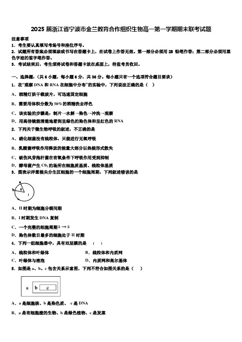 2025届浙江省宁波市金兰教育合作组织生物高一第一学期期末联考试题含解析