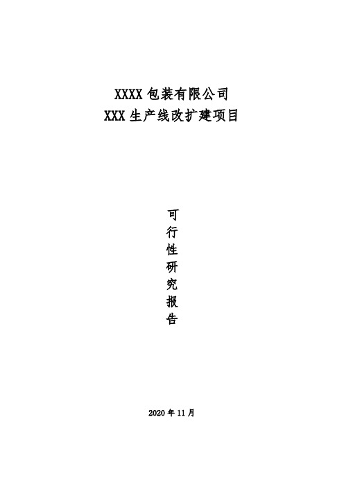 投资项目包装生产线可行性研究报告-参考模板