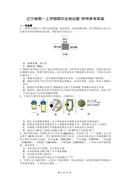 辽宁省高一上学期期中生物试题-附带参考答案