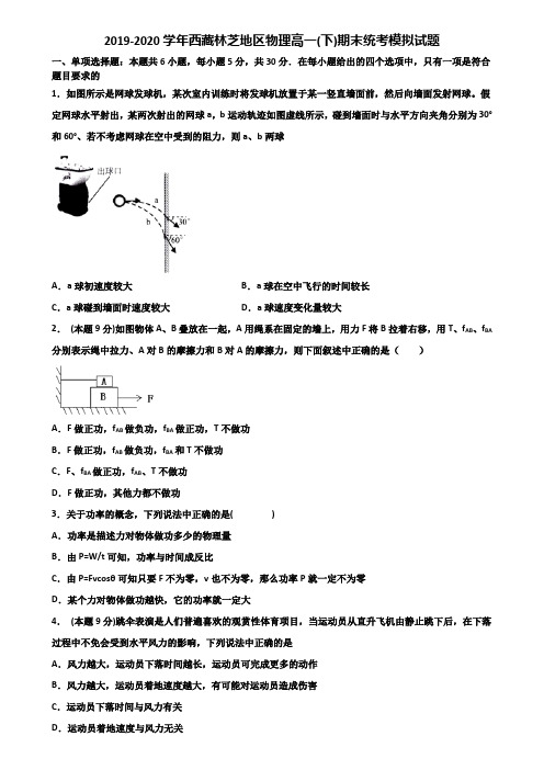 2019-2020学年西藏林芝地区物理高一(下)期末统考模拟试题含解析