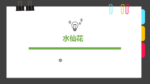 6-8岁《“凌波仙子”水仙花》-美术课件