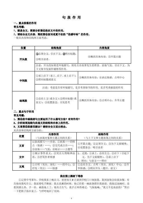 记叙文阅读之句段的作用