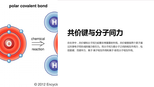 共价键与分子间力