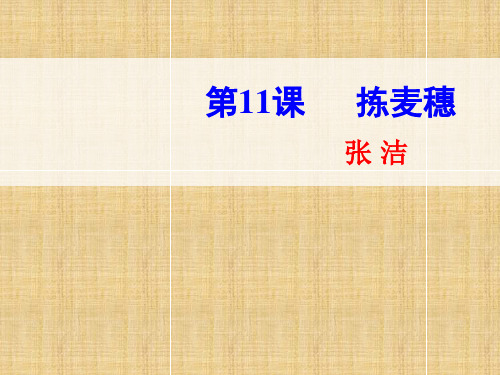 2019秋粤教版高中语文必修1第三单元同步教学课件第11课 《拣麦穗》 (共19张PPT)