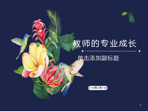 青年教师的专业成长