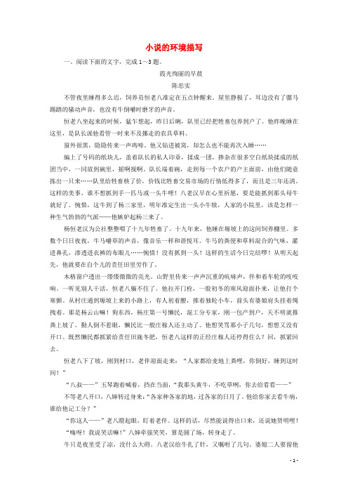 2024高考语文一轮复习第3板块现代文阅读专题3考点2小说的环境描写跟踪检测含解析