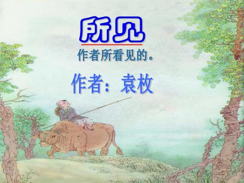 《所见》课件7(ppt)