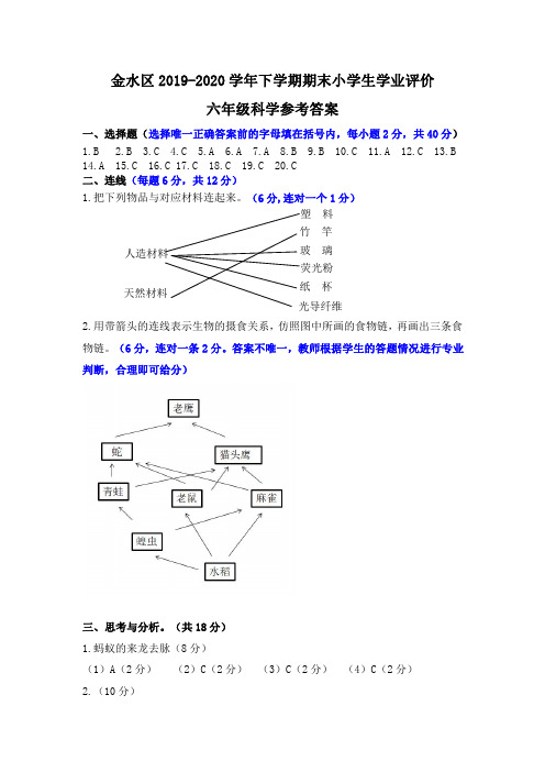 2019-2020学年下学期期末小学科学六年级答案