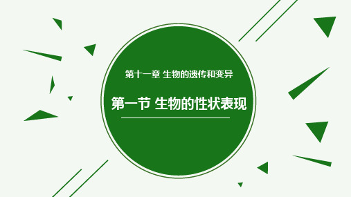 初中生物北京版八年级上册第十一章第一节 生物的性状表现 课件 (共31张PPT)