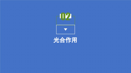 2021高中生物苏教版必修一课件 第四章第二节 光合作用 