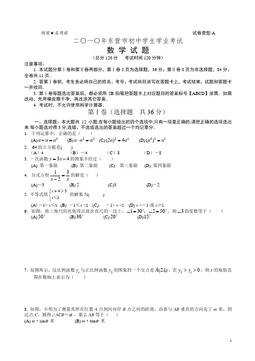 【2010真题】东营市数学中考试卷及答案