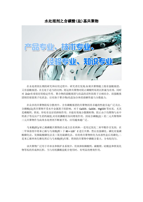 水处理剂之含磺酸(盐)基共聚物