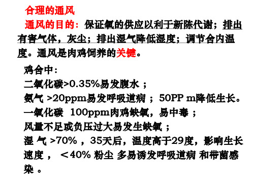 现代化肉鸡养殖技术通风篇