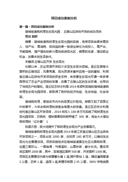 项目成功案例分析