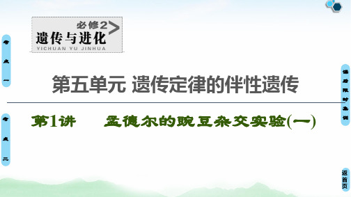 2021届   一轮复习 人教版 孟德尔的豌豆杂交实验(一)  课件(108张)