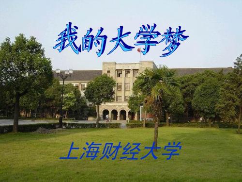 上海财经大学_演示文稿