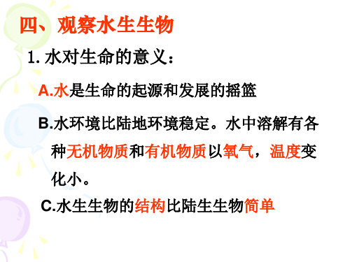 艳丽多姿的生物(课时3)