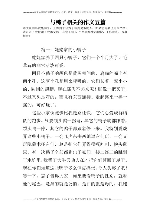 与鸭子相关的作文五篇