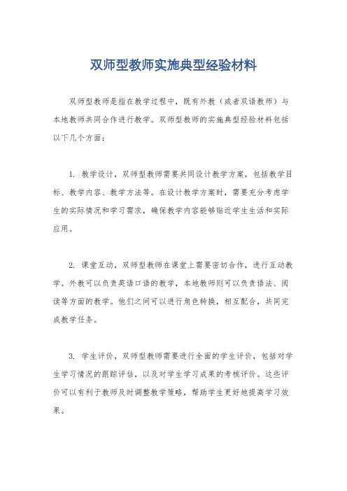 双师型教师实施典型经验材料