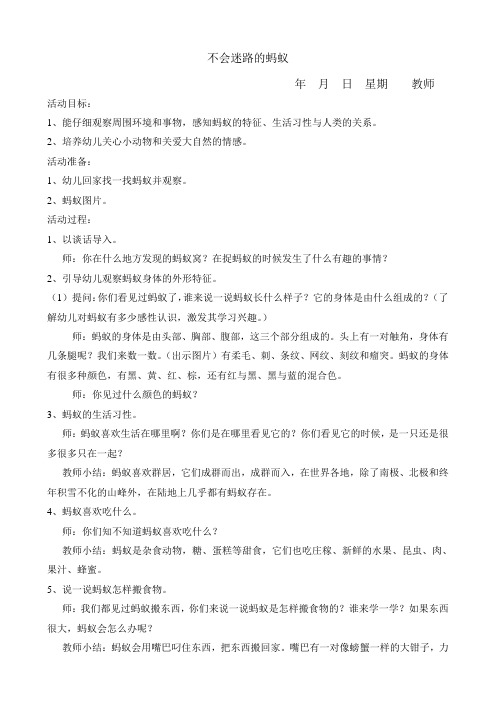 科学教案(不会迷路的蚂蚁)13